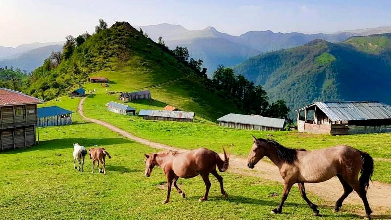 بوم گردی ماسال