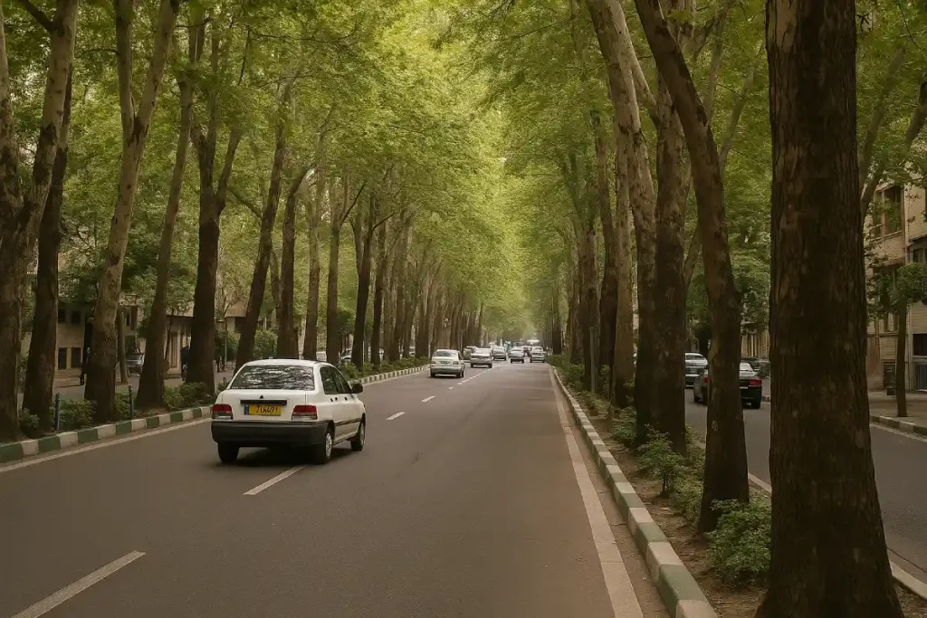خیابان ولی‌عصر تهران با ردیفی از درختان بلند چنار در دو سوی مسیر، چند خودرو در حال حرکت در جاده و نور طبیعی ملایم که از میان شاخه‌های سبز عبور می‌کند.