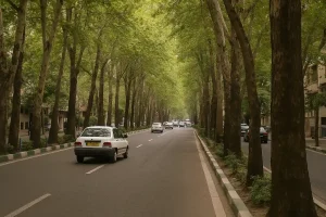 خیابان ولی‌عصر تهران با ردیفی از درختان بلند چنار در دو سوی مسیر، چند خودرو در حال حرکت در جاده و نور طبیعی ملایم که از میان شاخه‌های سبز عبور می‌کند.