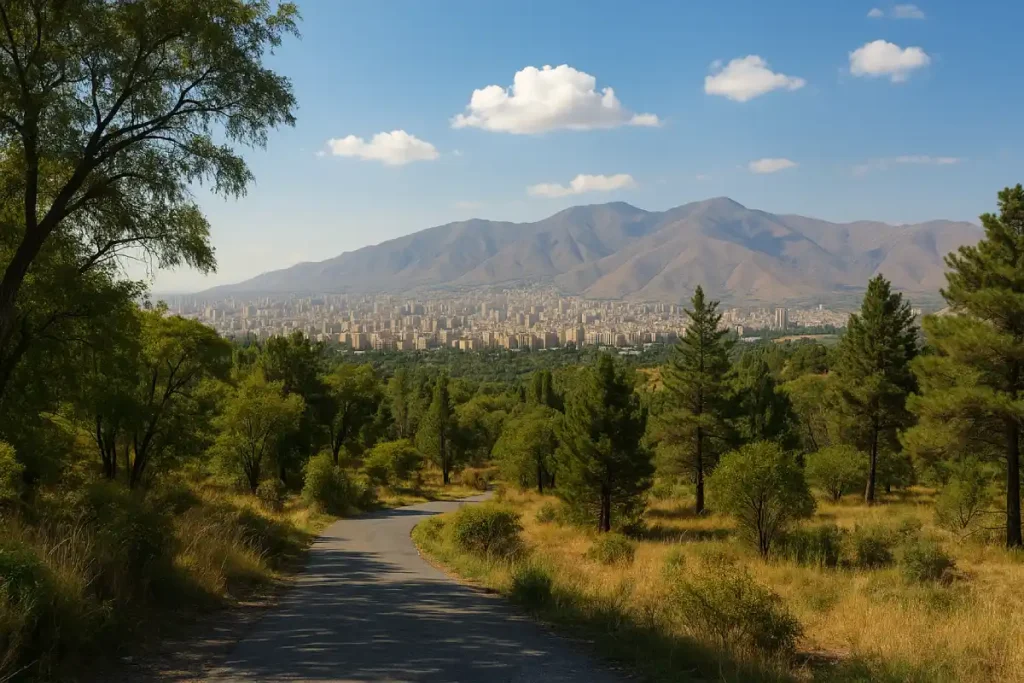 نمایی از محله سرخه‌حصار در شرق تهران؛ جاده‌ای میان درختان و فضای سبز به سوی شهر امتداد دارد و در پس‌زمینه کوه‌های البرز در زیر آسمانی صاف و آفتابی دیده می‌شوند.