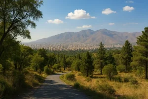 نمایی از محله سرخه‌حصار در شرق تهران؛ جاده‌ای میان درختان و فضای سبز به سوی شهر امتداد دارد و در پس‌زمینه کوه‌های البرز در زیر آسمانی صاف و آفتابی دیده می‌شوند.